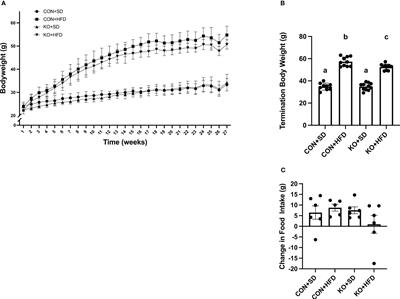 Toll-like receptor 4 deletion partially protects mice from high fat diet-induced arterial stiffness despite perturbation to the gut microbiota